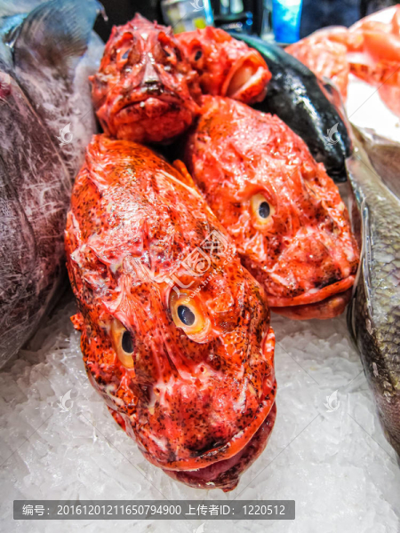 魚(yú)市場(chǎng)中的新鮮魚(yú)。