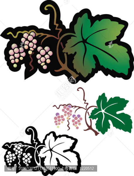 小小的野葡萄