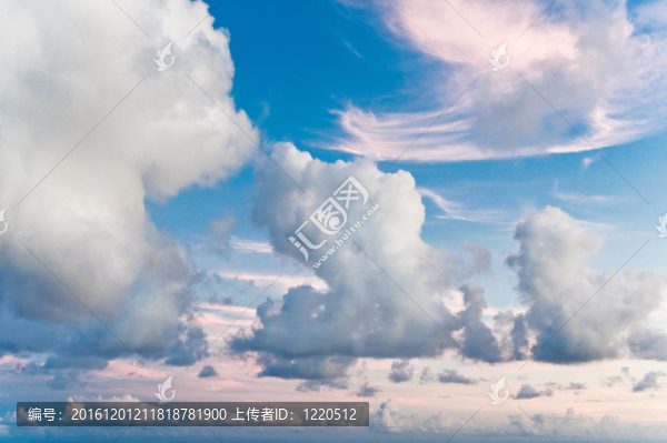 熱帶的早晨