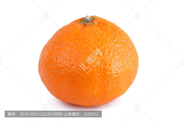 柑橘橙-,Tangerine夜店
