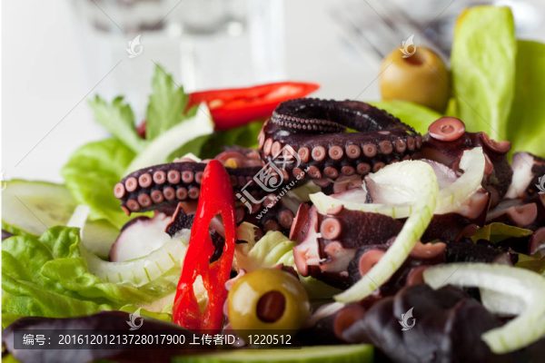 希臘魷魚沙拉