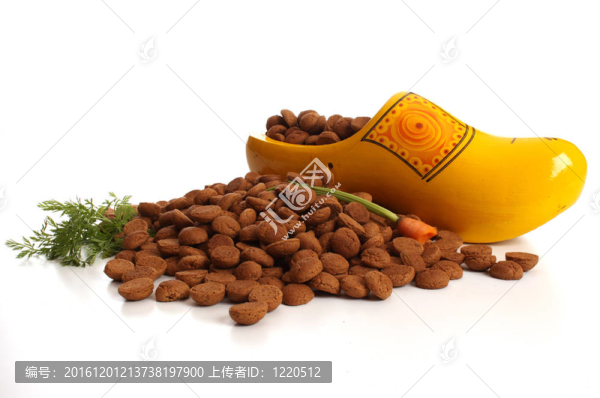 Sinterklaas在荷蘭