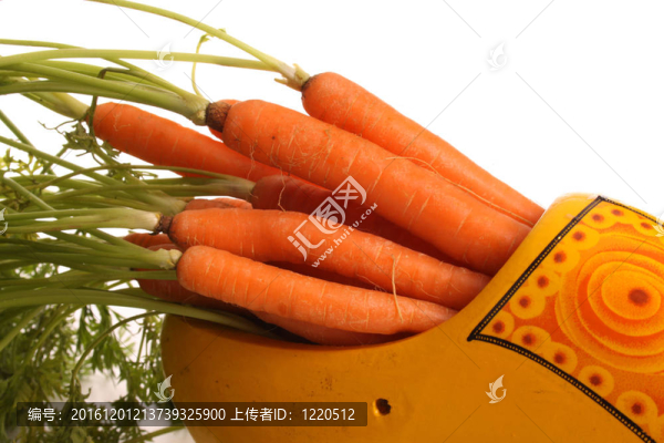 Sinterklaas在荷蘭