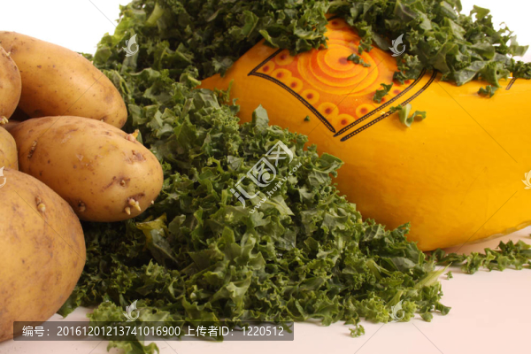 荷蘭羽衣甘藍(lán)