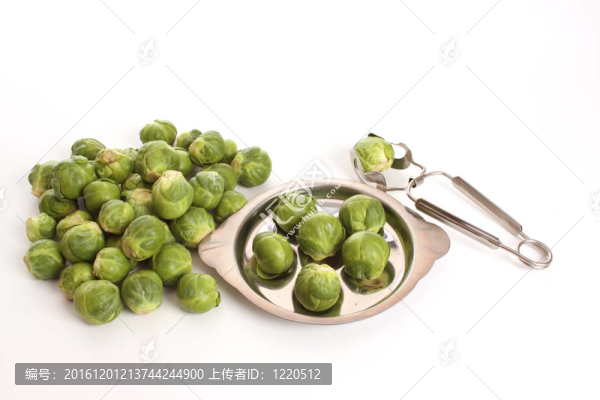 布魯塞爾豆芽