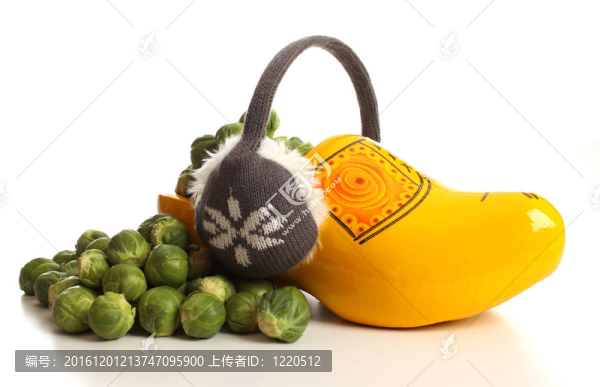 布魯塞爾豆芽