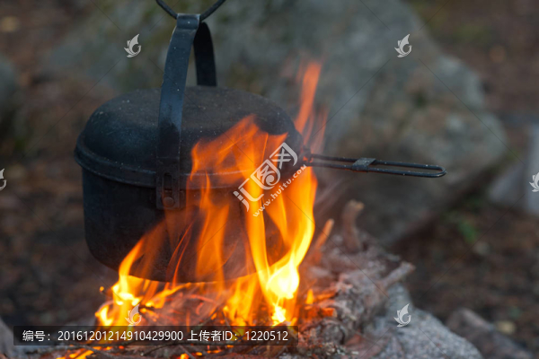 旅游茶