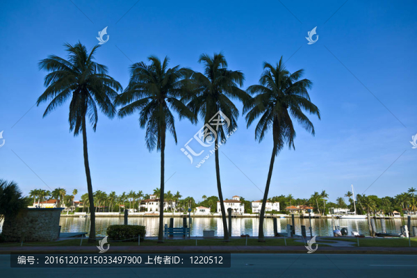美麗的房子在南邁阿密與海洋訪問