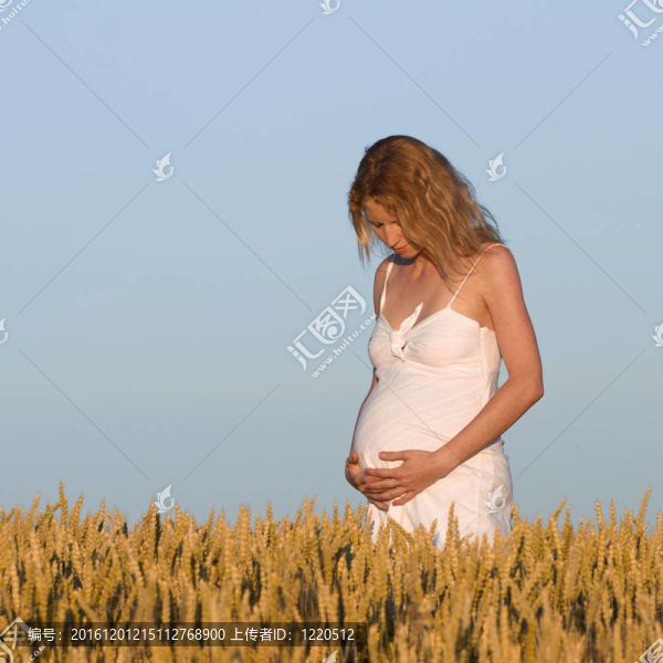 懷孕的女人