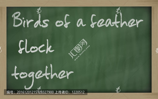 羽毛的鳥(niǎo)兒聚集在黑板上