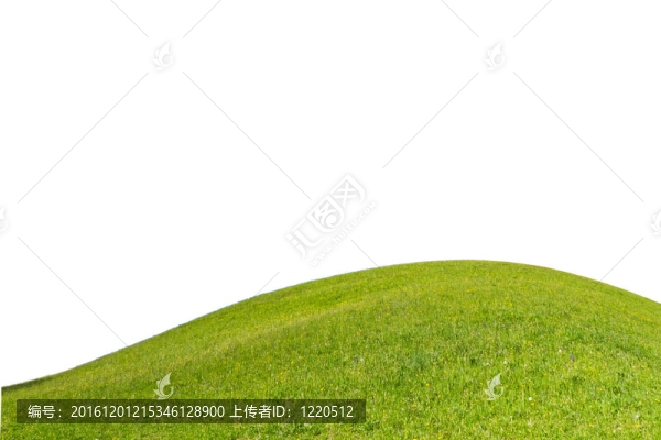 綠色的田野