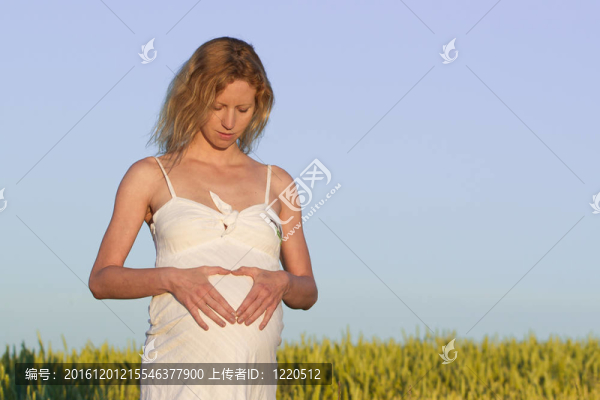 懷孕的女人