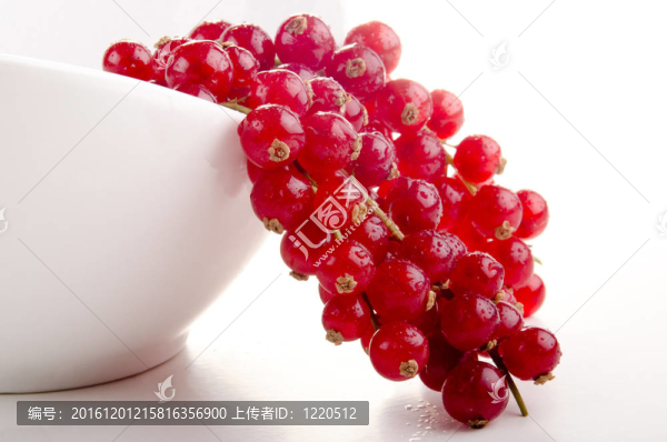 白碗新鮮采摘的紅醋栗
