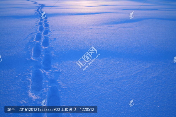 雪鞋-匯圖網(wǎng) www.fosd68.com 雪鞋
