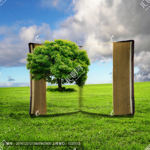 里面有綠色景觀的書