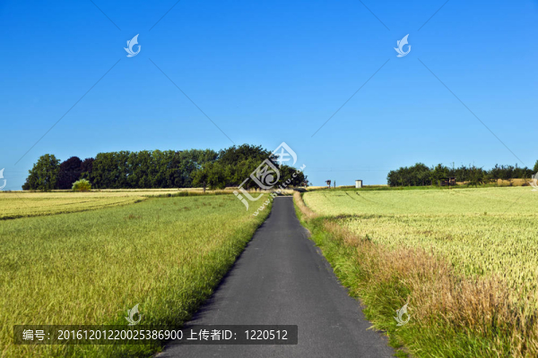 小巷和藍天的田野