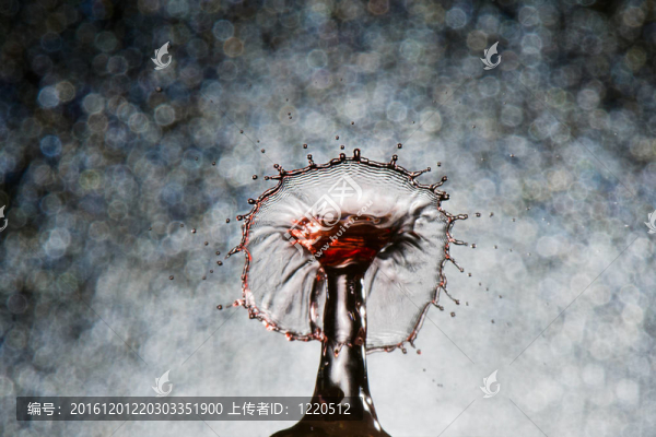 水潑紅