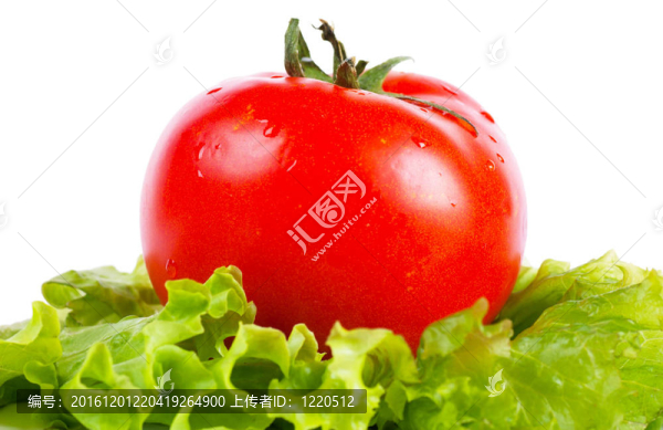 番茄和生菜
