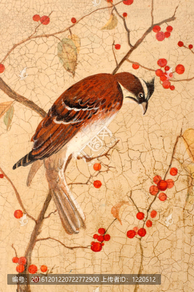 樹(shù)枝上畫(huà)鳥(niǎo)。