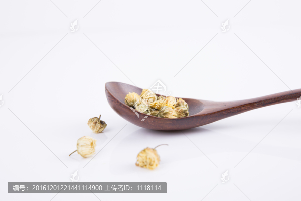 胎菊