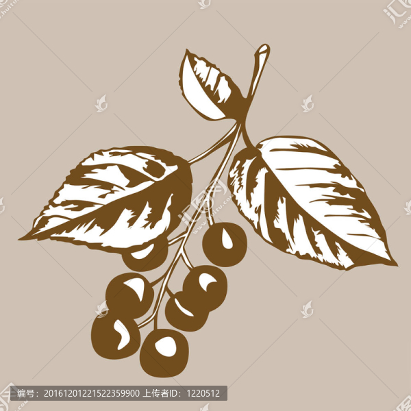 一種棕色背景的櫻桃樹(shù)；插圖
