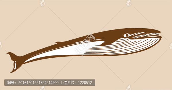 黃色背景上的鯨魚(yú)剪影；插圖