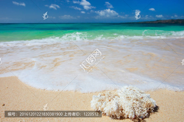 完美的熱帶海灘
