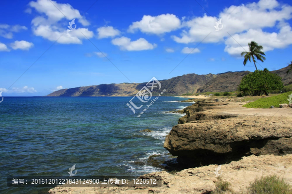 夏威夷海岸在夏天