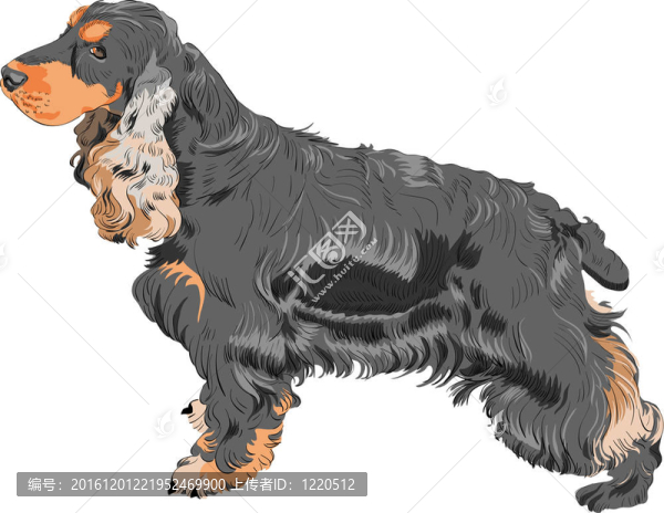 向量的狗黑英國(guó)可卡犬品種