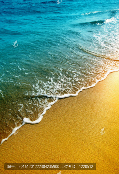 大海和沙灘