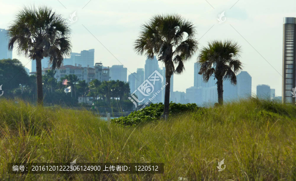 邁阿密南海灘