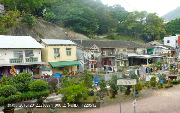 排頭村