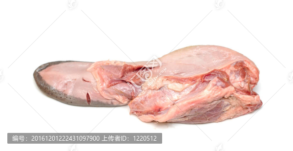 舌。在白色背景下分離的生肉食品