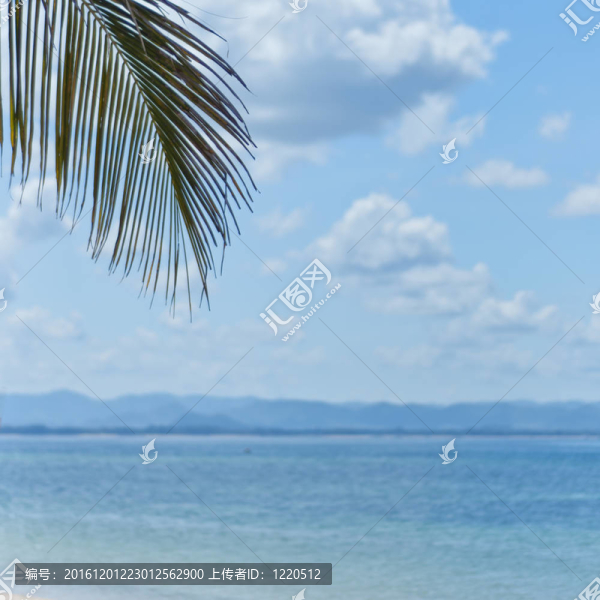 海灘背景