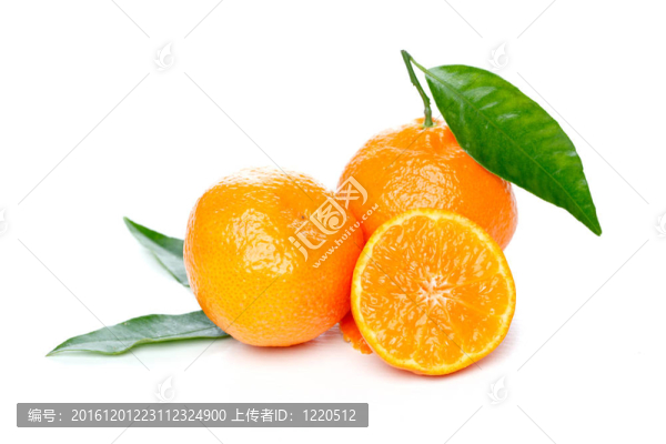 橘子葉