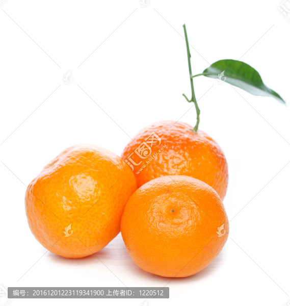 橘子葉