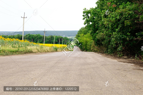 向日葵田附近的道路