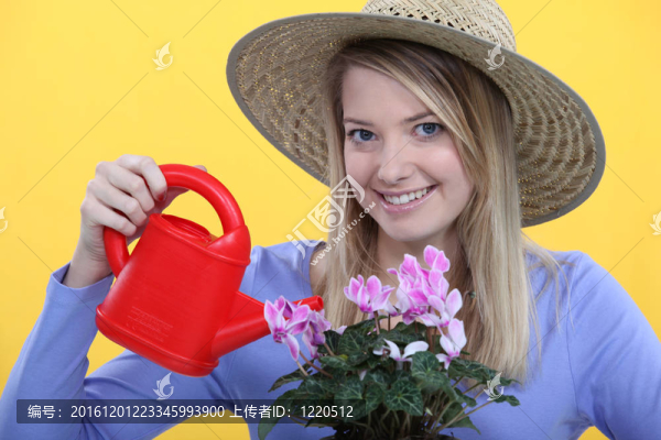 女人給她的花澆水。