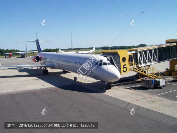 在機(jī)場(chǎng)的01架飛機(jī)