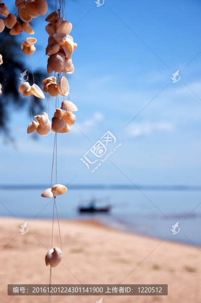 貝殼海灘