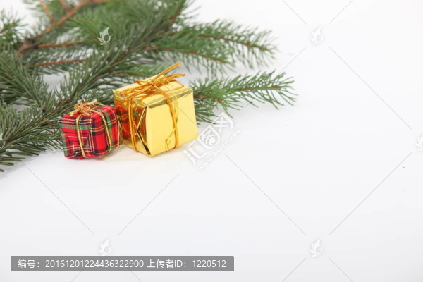 裝飾圣誕樹的樹枝