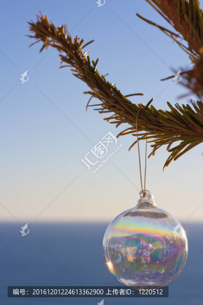 海邊樹上的裝飾品