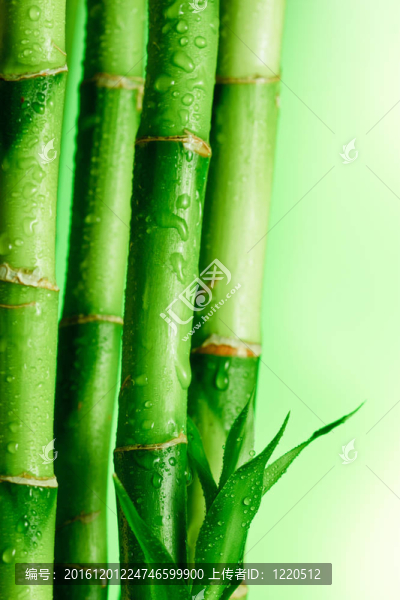 竹