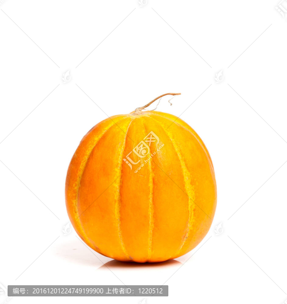 南瓜