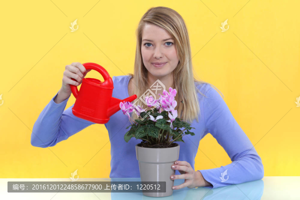 給盆栽澆水的女人