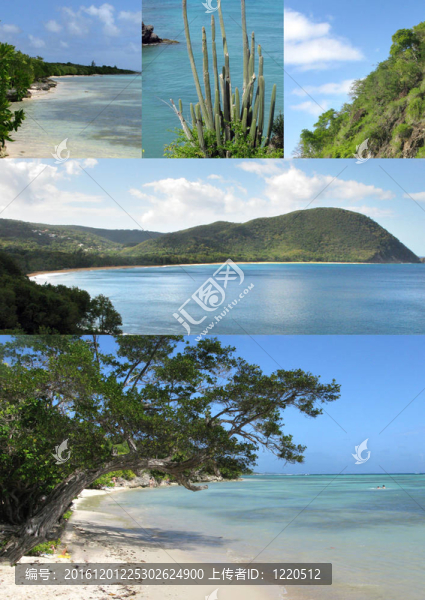 美麗而奇特的島嶼；海洋；海岸