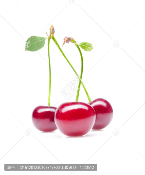 櫻桃