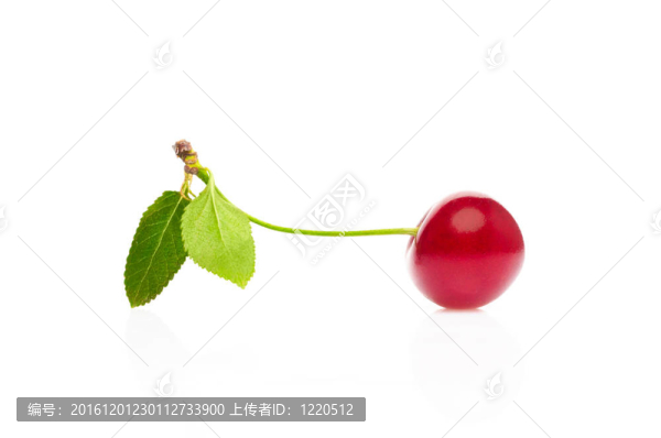 櫻桃