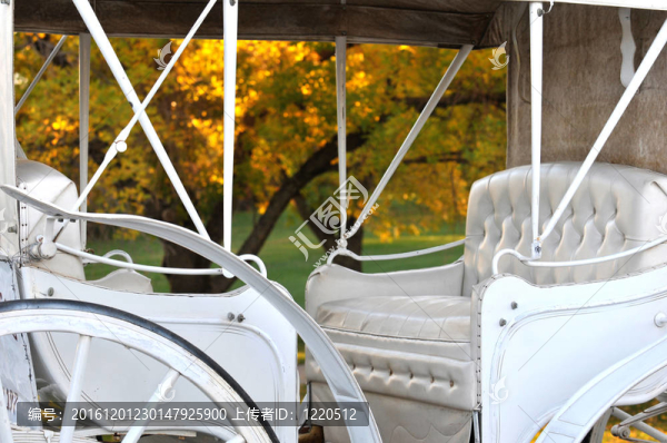公園里的馬車