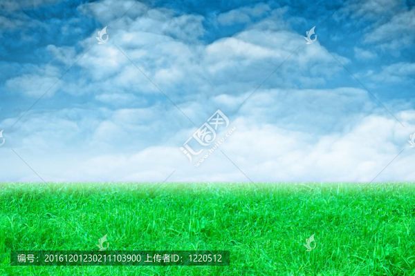 綠色草地和天空的景觀